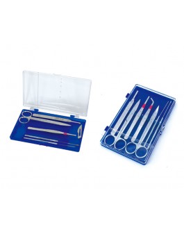 Dictation set