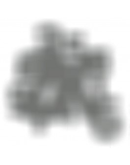 TRANSPARENT VALUES